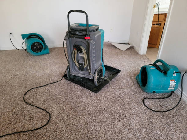 Best Water damage restoration near me  in Orange, OH