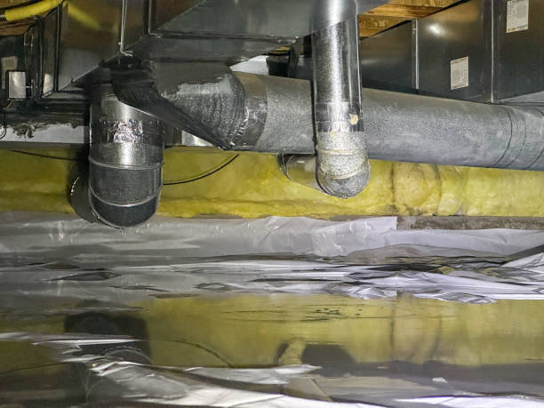 Best Carpet water damage restoration  in Orange, OH