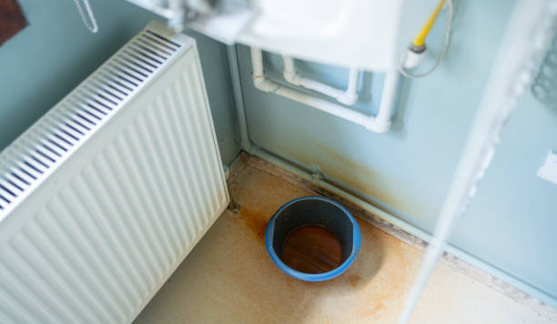 Best Water damage restoration mold remediation  in Orange, OH